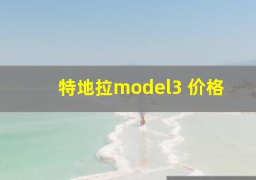 特地拉model3 价格